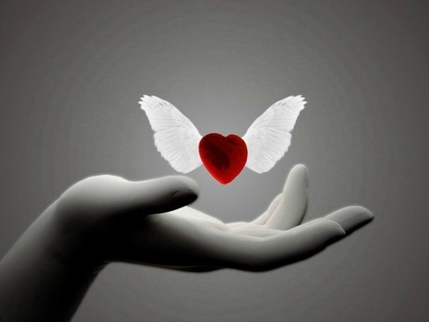 petit-coeur-d-ange_3642162-XL