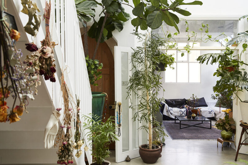 plantes et cuisine verte (6)