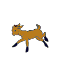 image001