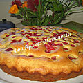 Gâteau aux fraises et groseilles du jardin et balade en normandie 50 et bretagne 35