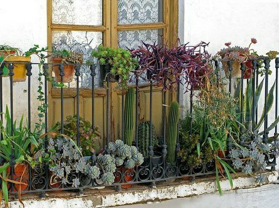 deco-petit-balcon-plantes-succulentes