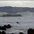 DSC03249-001