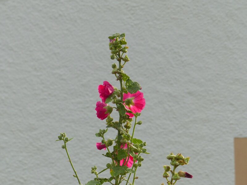 P1480417