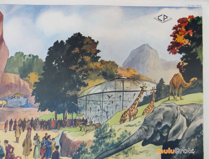 Affiche-LE-STADE-AU-ZOO-11-muluBrok