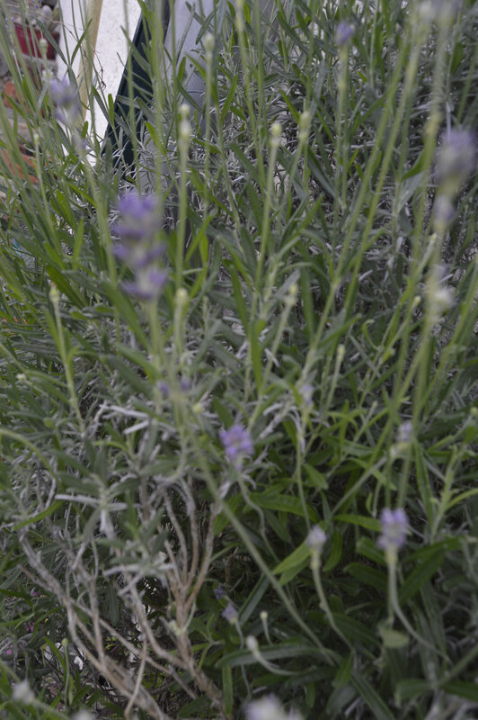 _DSC0047