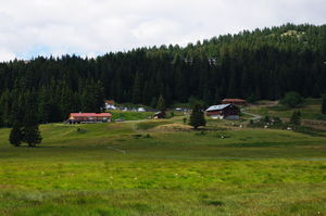 IMGP8207
