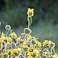 DSCN5102