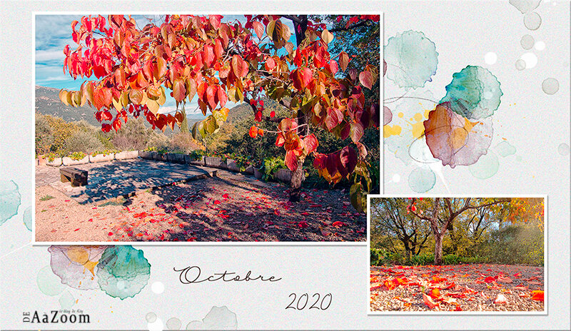 DeAaZoom_automne