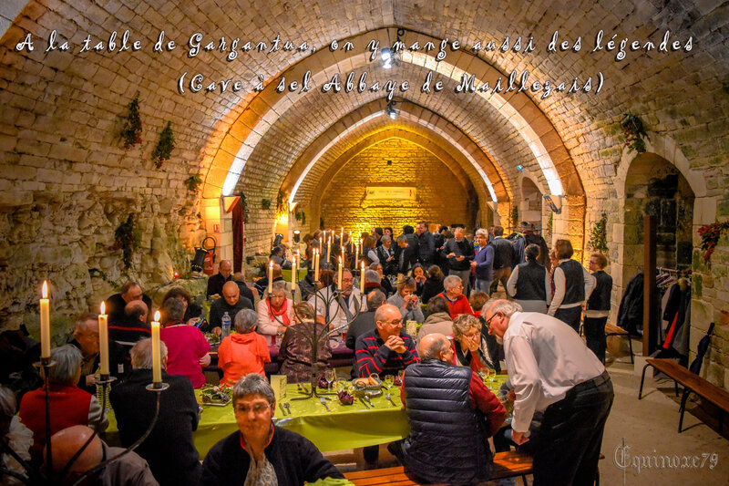 Cave à sel des moines bénédictin de l'abbaye de Maillezais (5)
