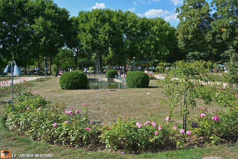 Nancy - Parc de la Pépinière Royale - la Roseraie