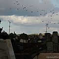 DSCN0548