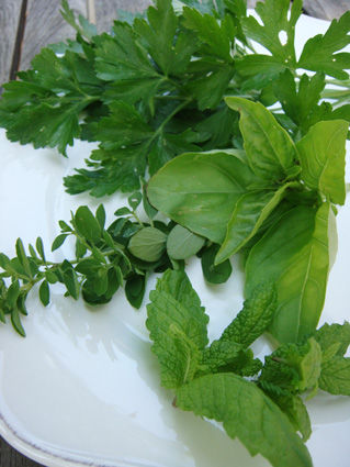 herbes_aromatiques_1