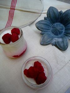 eiv_raspeberry_04