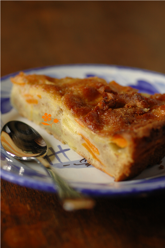 Gâteau de la teinturière pomme & courge_3