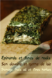 Terrine__pinards__fanes_radis__son_d_avoine__fromage_frais_ail_et_fine_herbes_1