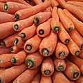 carottes en tas