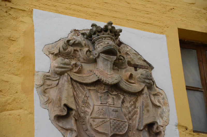 DSC_1131