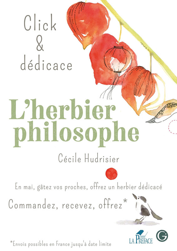 Affiche Cécile Hudrisier(1)