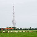 IMGP7457