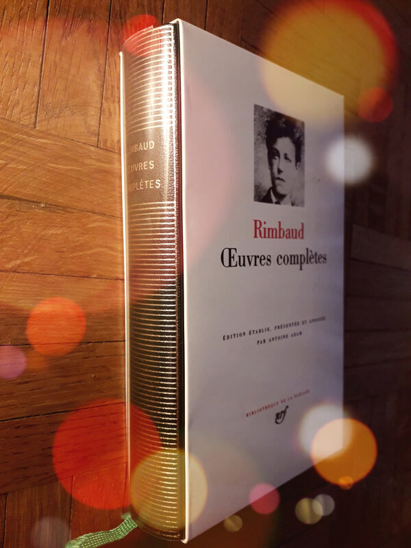 # 289 Oeuvres complètes, La Pléiade, Rimbaud