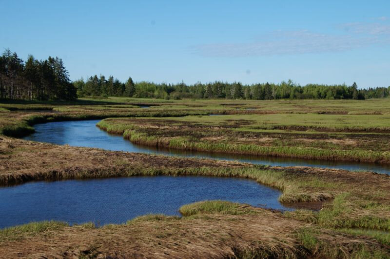 Petit CapPort Maryville Lous Roudaires