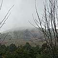 P1090291 - Copie