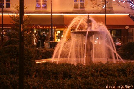 1_janvier_2008_345_copie