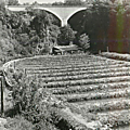 Trans-Pont de la Motte et pisciculture