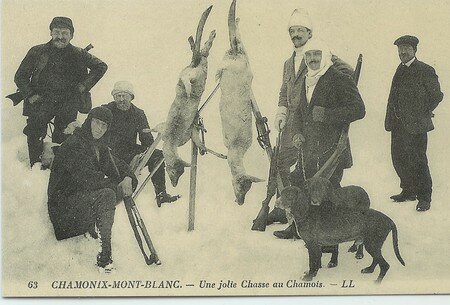 Chasse_au_chamois