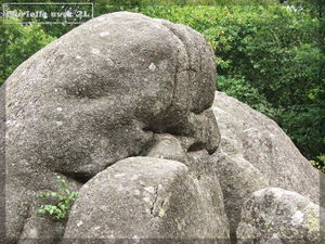 DSCF0023