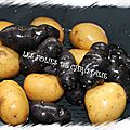 Salade aux 2 pommes de terre