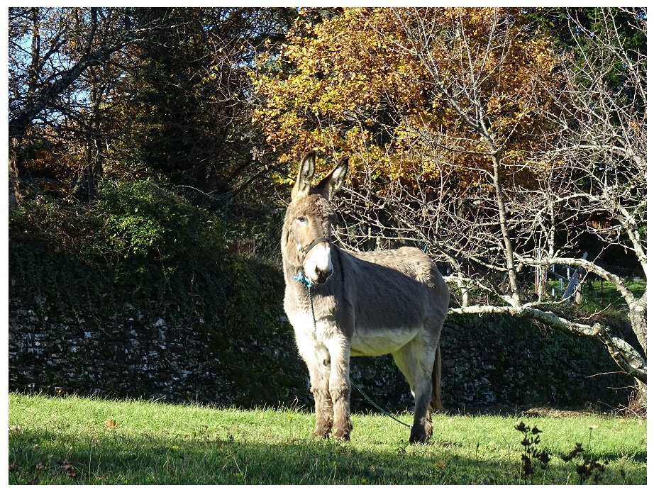 Romeo et juliette rencontre Rencontres cevenoles