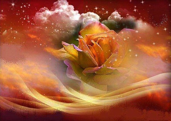 rosese7fe6882