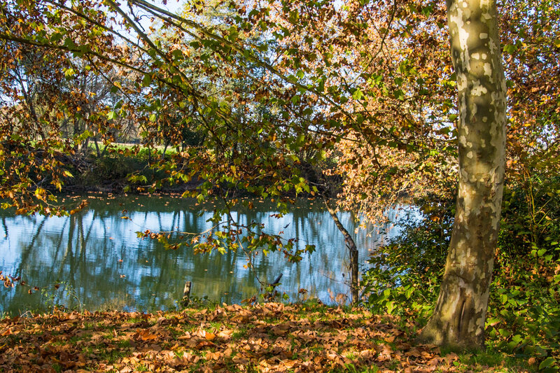 12112015-EO5A3426
