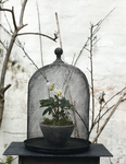 for-the-garden