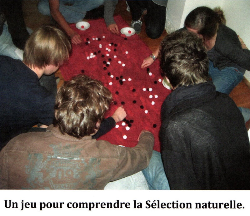 un jeu pour comprendre la sélection naturelle