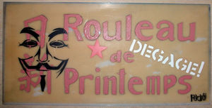 20120925AnonymousRouleauDePrintempsPixPedroWeb001