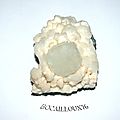 CLASSE 8 . phylloSILICATES