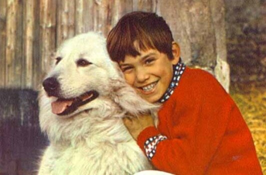 Belle et Sébastien (1968)