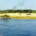 Paysage des bords du Nil