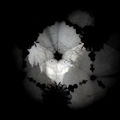 La technique du papillon mort