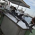 _DSC0085