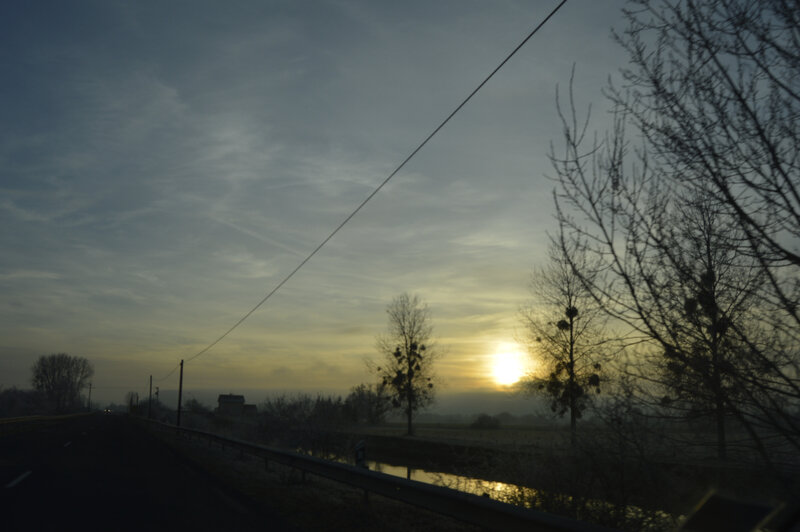_DSC0148