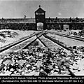 Auschwitz, l’horreur humaine absolue