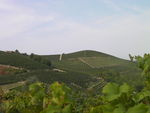 06092009_055