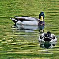 Balade le long du canal, Castets-en-Dorthe, Octobre 2015