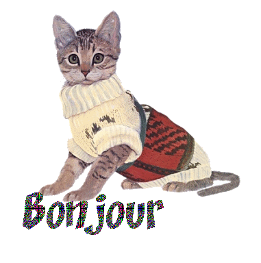 bonjour 10