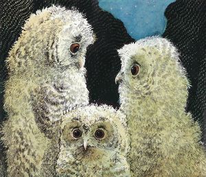 bebes owl3