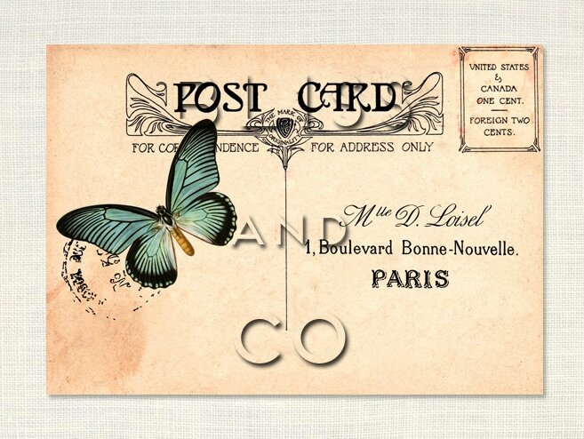 Transfert tissu textile Bliss and Co n°5