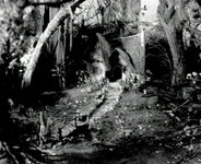 foto0910
